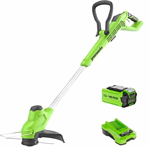Greenworks Rasentrimmer