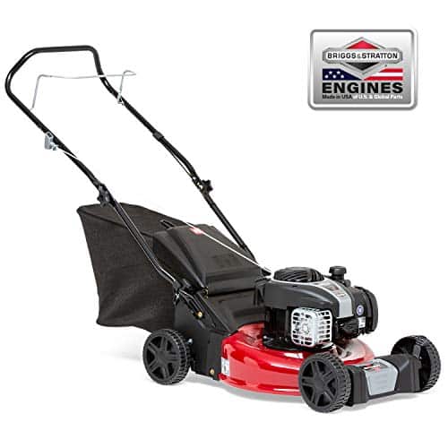 Briggs & Stratton Rasenmäher