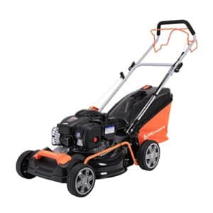 Briggs & Stratton Rasenmäher
